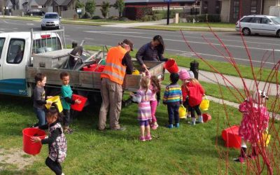 Waste Minimisation Support – Learning Links Borman Road Hamilton
