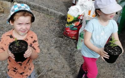 Bush kindy was very productive