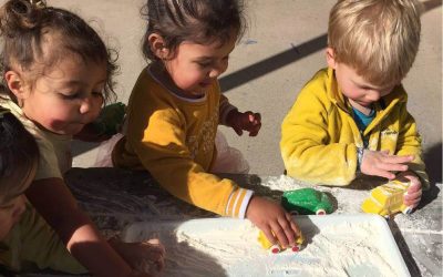 Daffodil Day – Nationwide