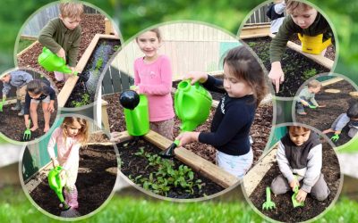 Matariki Celebrations