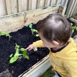 maori-new-year-preparation