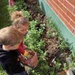 kids-planting-trees